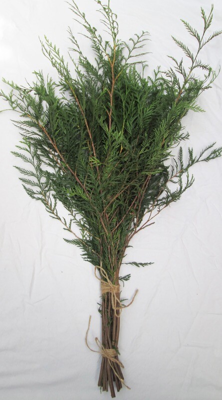 Natural Freshly Cut Green Western Cedar Fir Branch Bundle Smudge Incense Organic Evergreen Foliage Christmas Bouquet Wreath Supplies 80cm