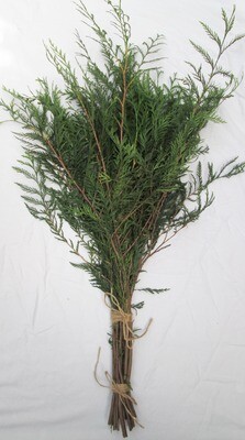 Natural Freshly Cut Green Western Cedar Fir Branch Bundle Smudge Incense Evergreen Foliage Christmas Bouquet Wreath Supplies 80cm