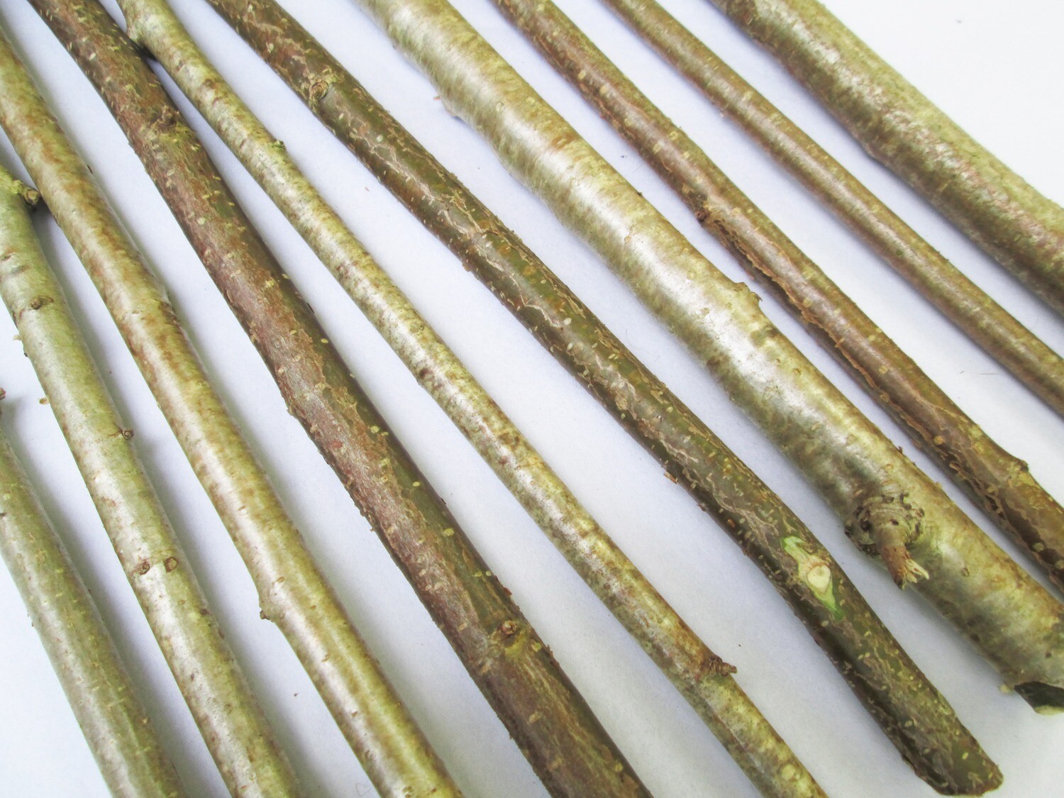 10 x 40cm Natural Hazel Ogham Stave Wood Branches Sticks Bark Wood Craft Art Decoration Wands Whittling