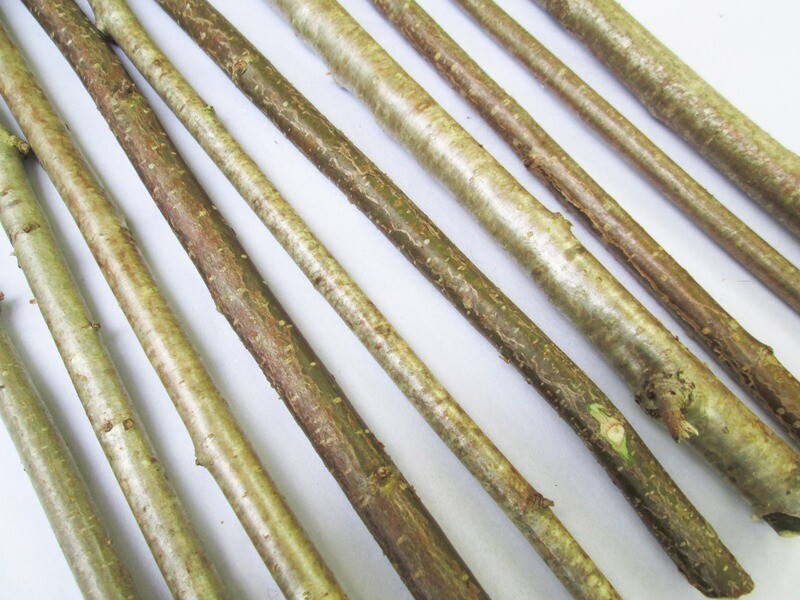 10 x 40cm Natural Hazel Ogham Stave Wood Branches Sticks Bark Wood Craft Art Decoration Wands Whittling