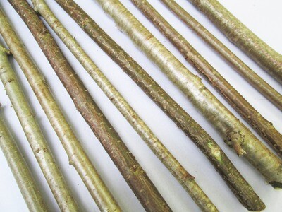 10 x 40cm Natural Hazel Ogham Stave Wood Branches Sticks Bark Wood Craft Art Decoration Wands Whittling