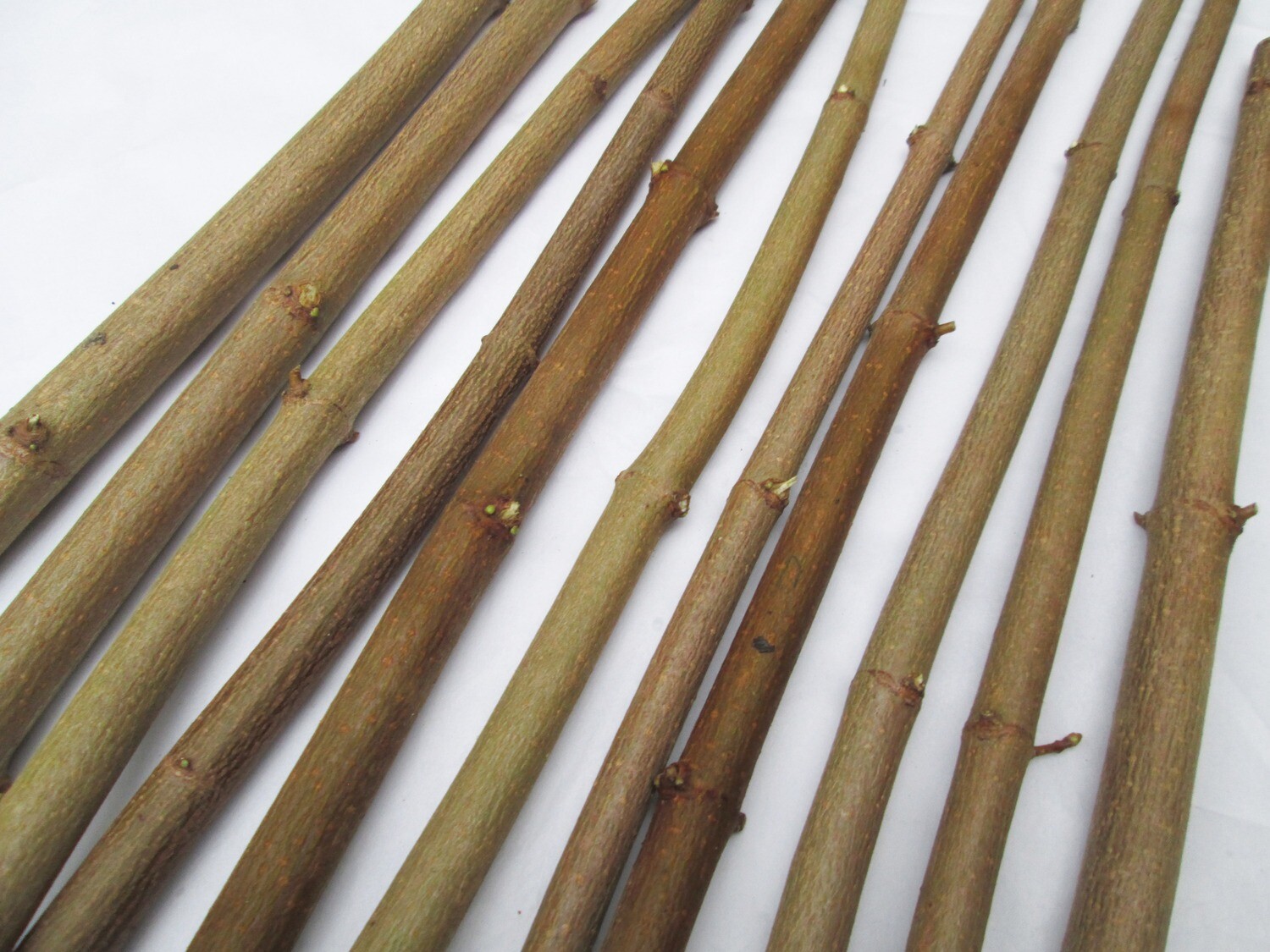 10 x 90cm Long Straight Natural Sycamore Wood Branches Sticks Bark Wood Craft Art Decoration Wood Dowel Rods