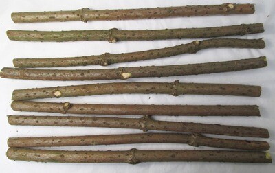10 x 40cm Natural ELDER Ogham Stave Wood Branches Sticks Bark Wood Craft Art Decoration Wands Whittling