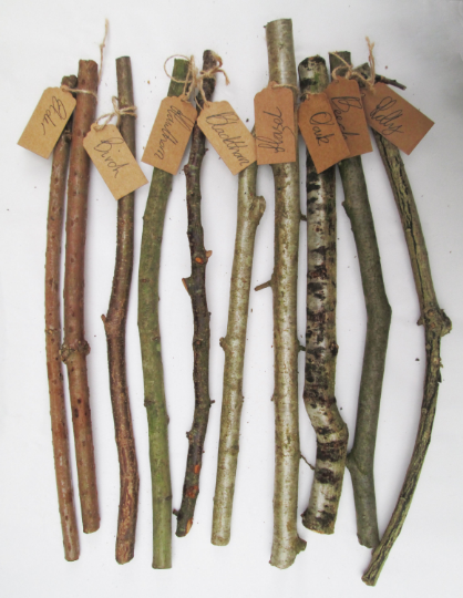 10 x 35cm Natural Mixed Species English Tree Sticks Identification Labelled Wiccan Ogham Twig Stick Bark Branches Wood Craft Art Rustic Decoration