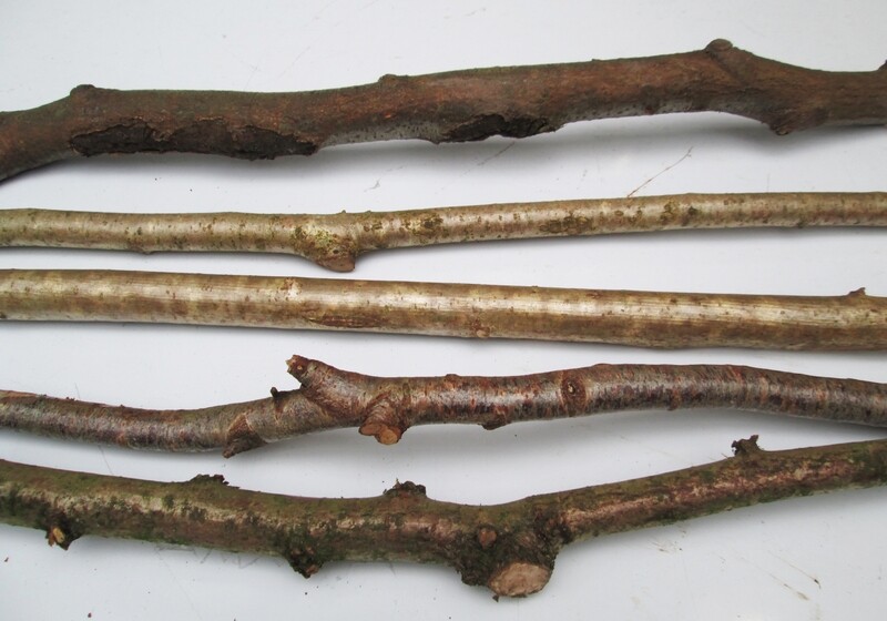 5 x 90cm Organic Natural Branches Wood Perches for Budgies Parrots Bird Cages