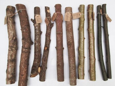 10 x 40cm Thick Natural Branches Stick Bark Wood Turning Carving Lathe - Hazel, Elder, Sycamore, Sweet Chestnut, Birch, Oak, Beech