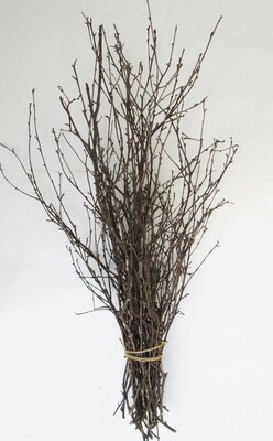 Natural Eco Dried Birch Branch Bundle Bunch Birch Branches Decoration Decor Twigs 60cm