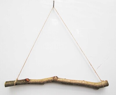 Small 40cm Crooked Birch Beech or Oak Natural Tree Branch Stick Hanging Herb Rack