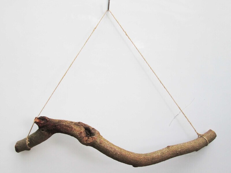 60cm 2ft Thick GNARLY Knotty Twisted Beech or Oak Natural Tree Branch Stick Hanging Herb Rack