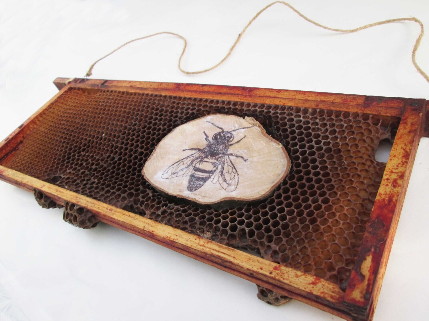Beehive Real Honeycomb with Printed Wooden Bee &amp; Pollen Curio Art Frame Picture Wall Hanging