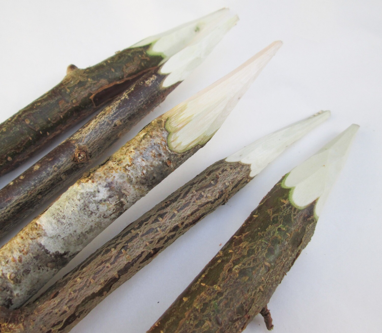 5 x Rustic ROASTING SKEWERS STICKS Campfire Dough Bread Marshmallows Hazel
