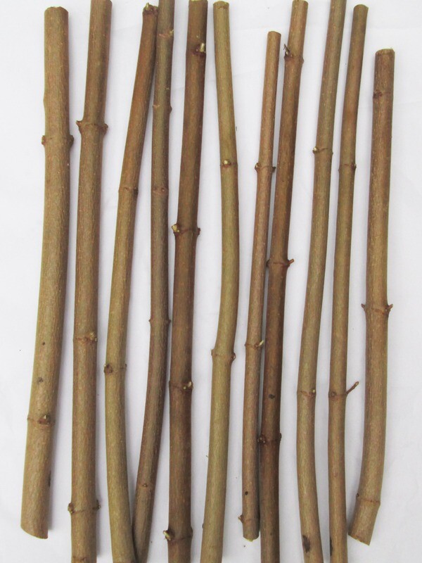 10 x 40cm Natural SYCAMORE Ogham Stave Wood Branches Sticks Bark Wood Craft Art Decoration Wands Whittling