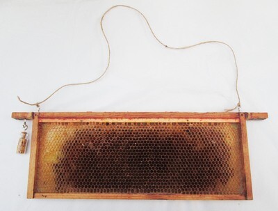 Beehive Real Honeycomb with POLLEN Curio Art Frame Picture Wall Hanging