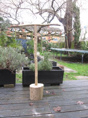 130cm Tall Large Handmade Free Standing T Perch Training Stand for Large Birds - Parrots, African Greys, Cockatiel, Conure