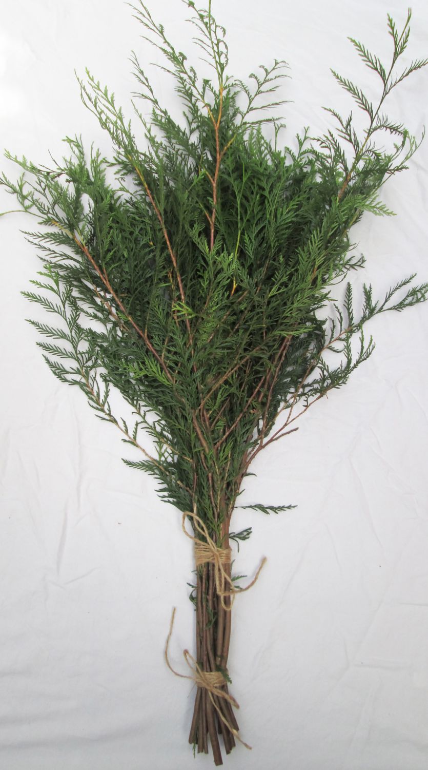 Natural Freshly Cut Green Western Cedar Fir Branch Bundle Smudge Incense Evergreen Foliage Christmas Bouquet Wreath Supplies 80cm