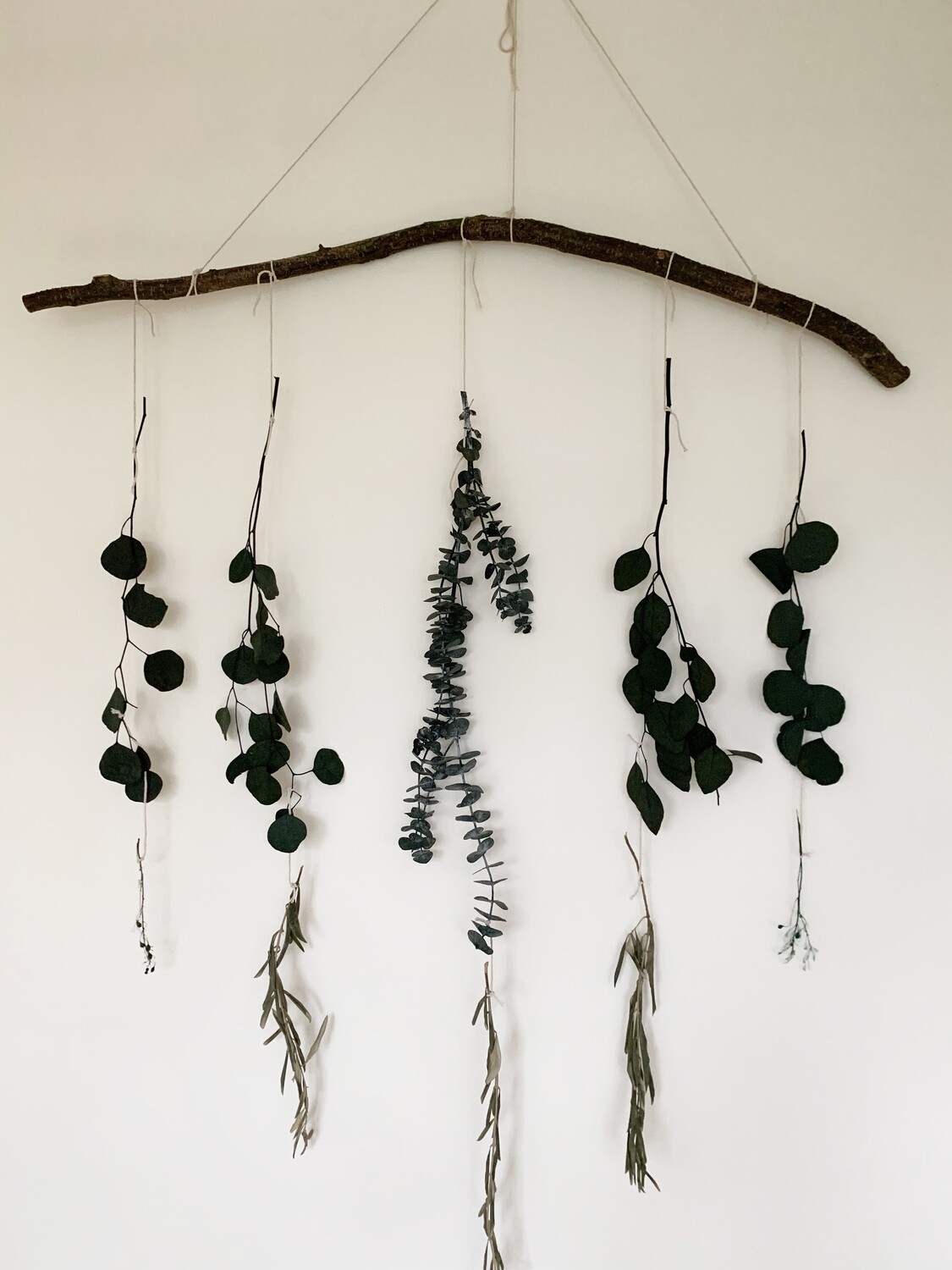 90cm Crooked Natural Beech Branch Hanger – Rustic Dried Flower, Photo &amp; Wall Display Rail