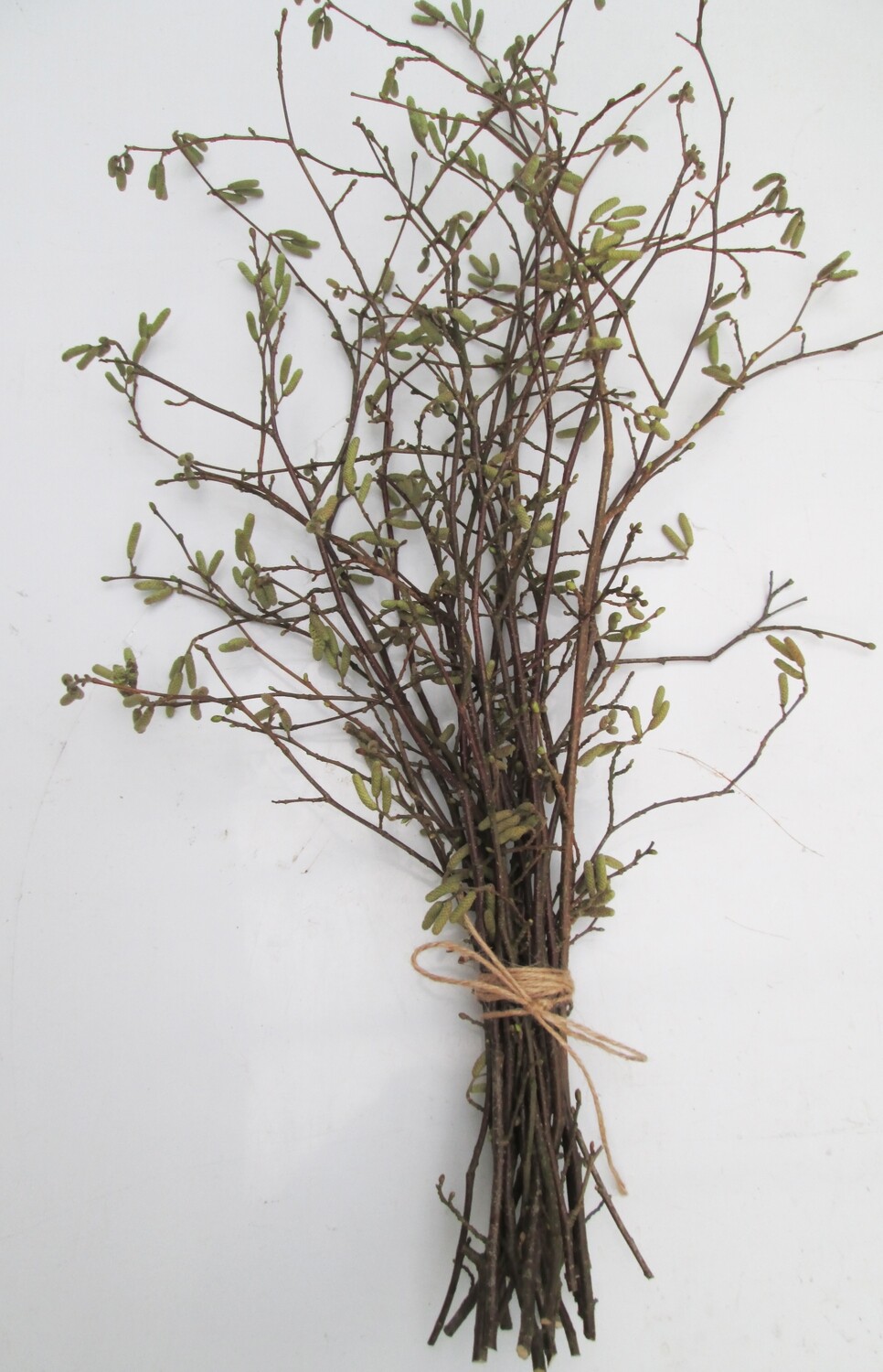 15 Fresh Hazel Branches with Yellow Catkins – 70cm Natural Spring Stems for Floristry &amp; Vases