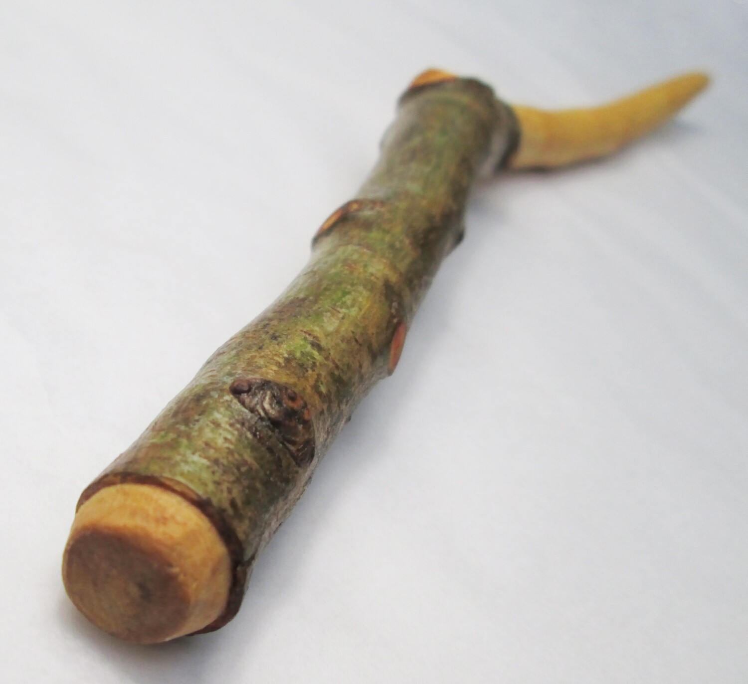 40cm Handmade Natural Wooden Wand – Hawthorn, Blackthorn or Hazel – Pagan, Wiccan &amp; Witchcraft