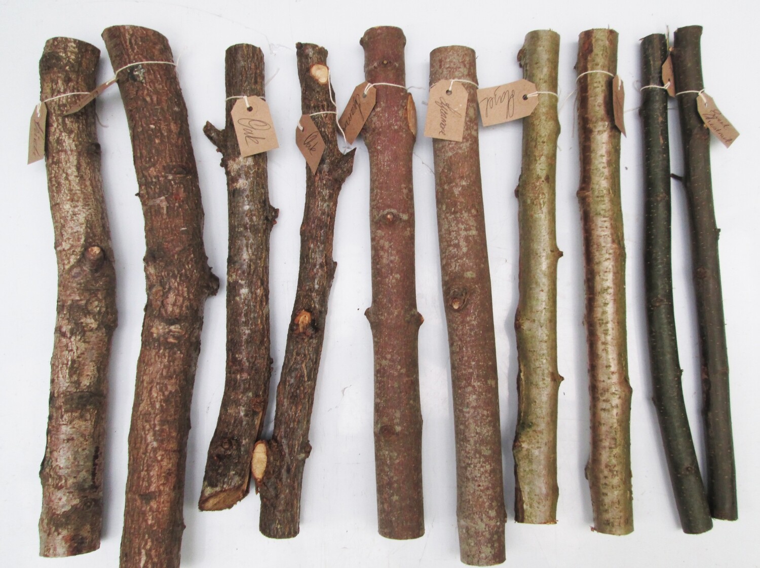 10 x 40cm Mixed Green Wood Carving &amp; Turning Blanks – 30-50mm Labelled British Tree Species