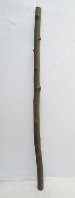 116cm Thick Straight Sweet Chestnut Branch – Natural Wood Pole, Bird Perch, Walking Stick, Staff &amp; Crafts