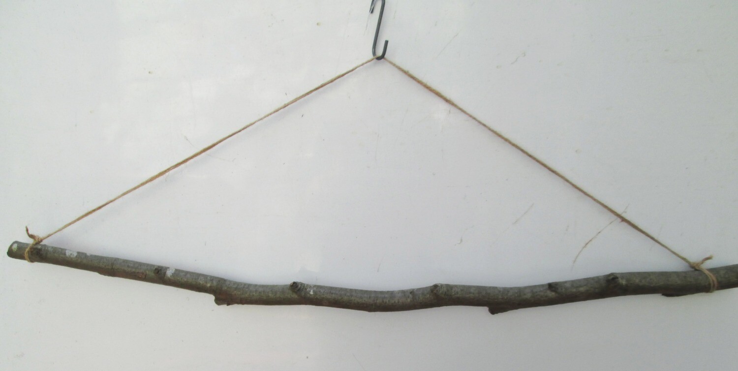 116cm Crooked Natural Beech Branch Hanger – Rustic Display Rail for Dried Flowers, Photos &amp; Decor