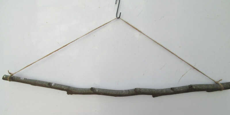 116cm Crooked Natural Beech Branch Hanger – Rustic Display Rail for Dried Flowers, Photos &amp; Decor