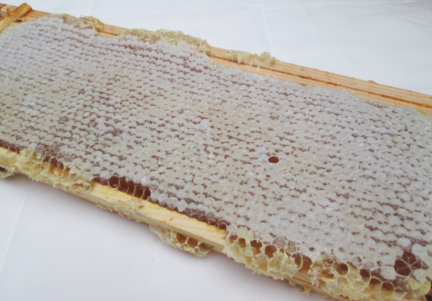 Whole Full Frame Raw English Honeycomb – Fresh Wildflower Honey in Original Beehive Frame 1.5–2kg