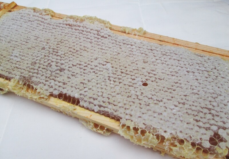 Whole Full Frame Raw English Honeycomb – Fresh Wildflower Honey in Original Beehive Frame 1.5–2kg