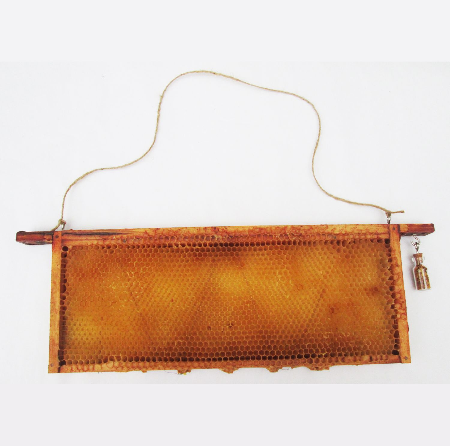Real Beehive Honeycomb Frame with Bee Pollen – Natural Bee Wall Art &amp; Beekeeping Curio