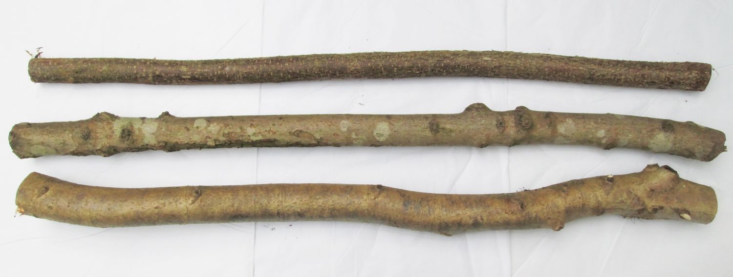 3 x 90cm EXTRA THICK 4-5cm Natural Branch Perches – Parrots, Large Birds, Reptiles &amp; Snakes