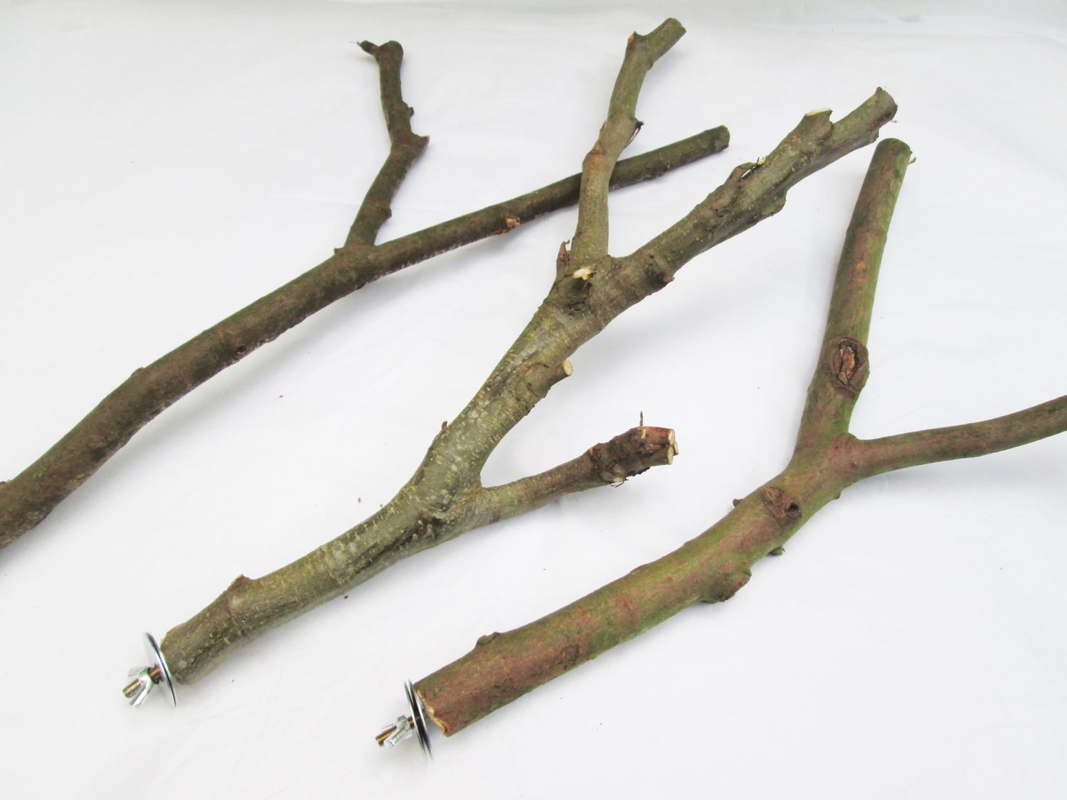3 x 40cm Y-Shaped Natural Bird Perches with Cage Brackets – Budgies, Cockatiels &amp; Parrots