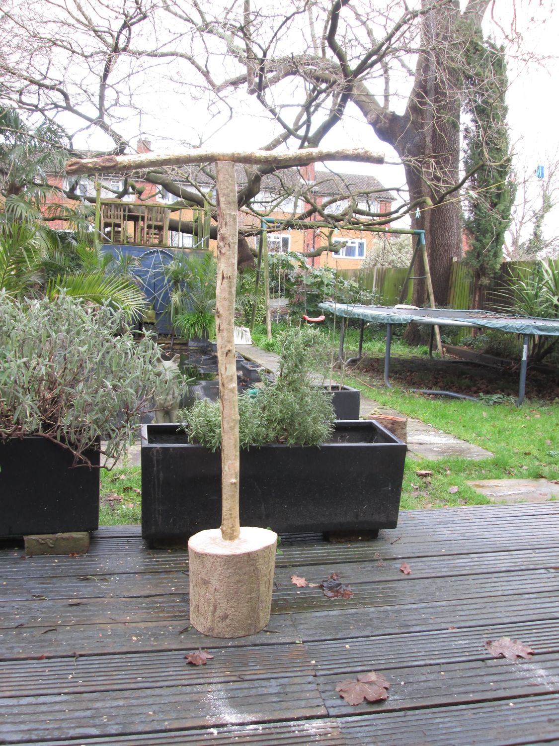 130cm Large Natural Wood Parrot T Perch – Freestanding Bird Training &amp; Play Stand