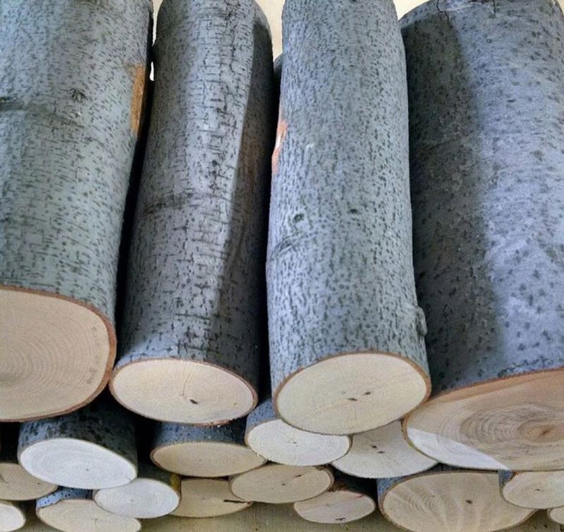 10 x Beech Wood Log Blanks – 220mm Length | Natural Ornamental &amp; Craft Logs