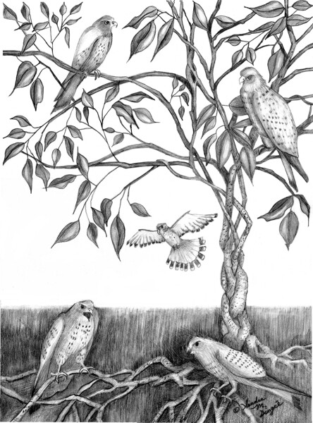 Black & White Art Prints