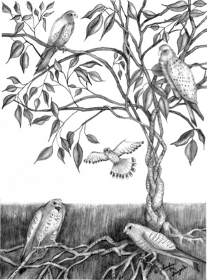 Black & White Art Prints