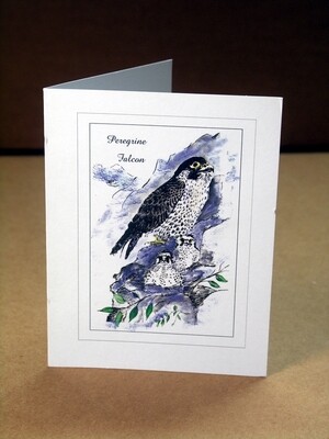 Notes & Greetings Pkg. of 6