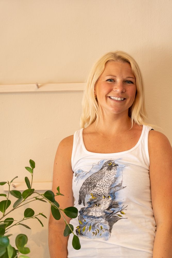 Peregrine Falcon T shirts