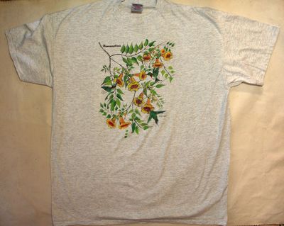 Humming Bird 3 X Large T Shirt