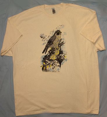 Peregrine Falcon 2 X Large T Shirt