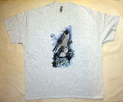 Peregrine Falcon 3 X Large T Shirt
