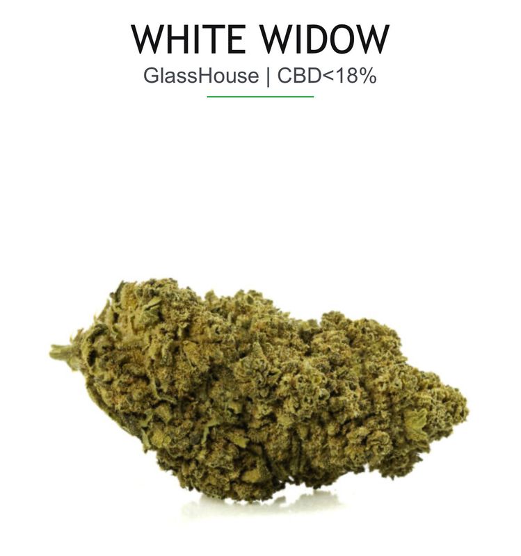 WHITE WIDOW