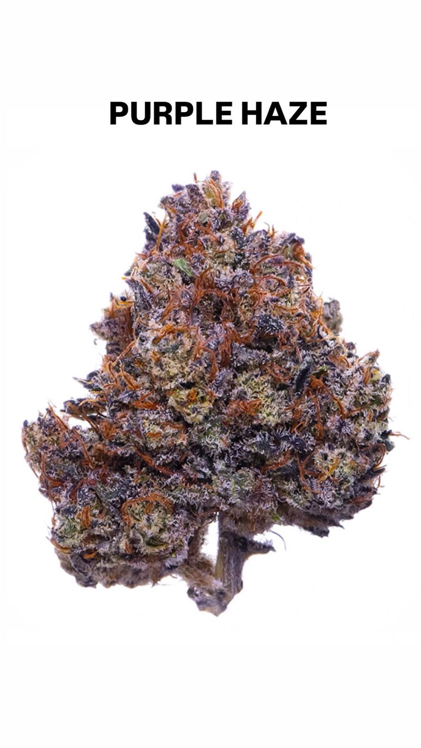 PURPLE HAZE