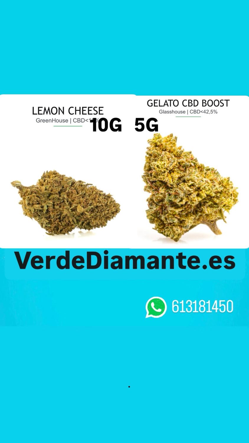 PACK LEMON GELATO