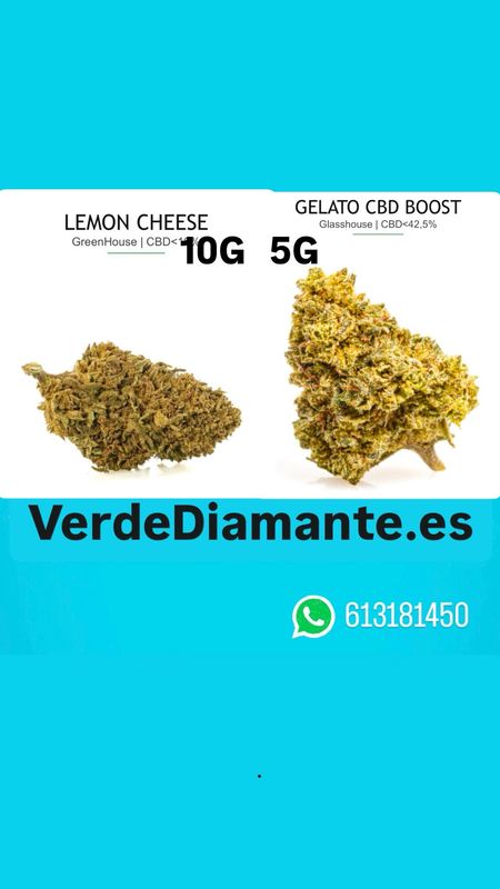 PACK LEMON GELATO