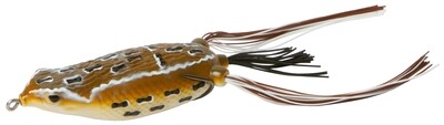 Zoom 141421 Hollow Belly Frog Brownie