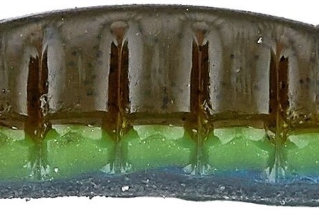 Roboworm 4 1/2" Ned Worm Green Pumpkin Perch