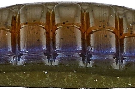 Roboworm 4 1/2&quot; Ned Worm Aaron&#39;s Green Pumpkin