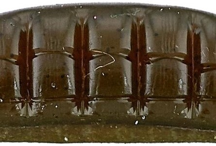 Roboworm 4 1/2" Straight Tail Green Pumpkin