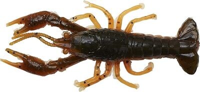Ned Bug