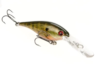 Lucky Shad